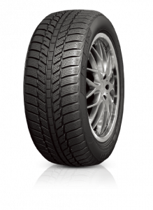 Anvelopa Roadx iarna Rxfrost WH01 195/65 R15 91H